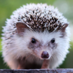Profile picture of loophole64