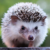 Profile picture of loophole64
