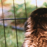 Profile picture of ottobunny